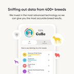 Dog DNA Test Kit