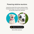 Dog DNA Test Kit