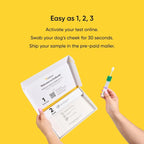 Dog DNA Test Kit