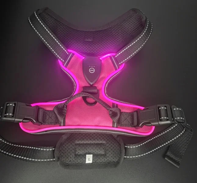 LED Glowing Luminous Dog Harnesses Essential for Dog Walking Safety At Night Dog Vest with Three LED Light Modes Rechargeable