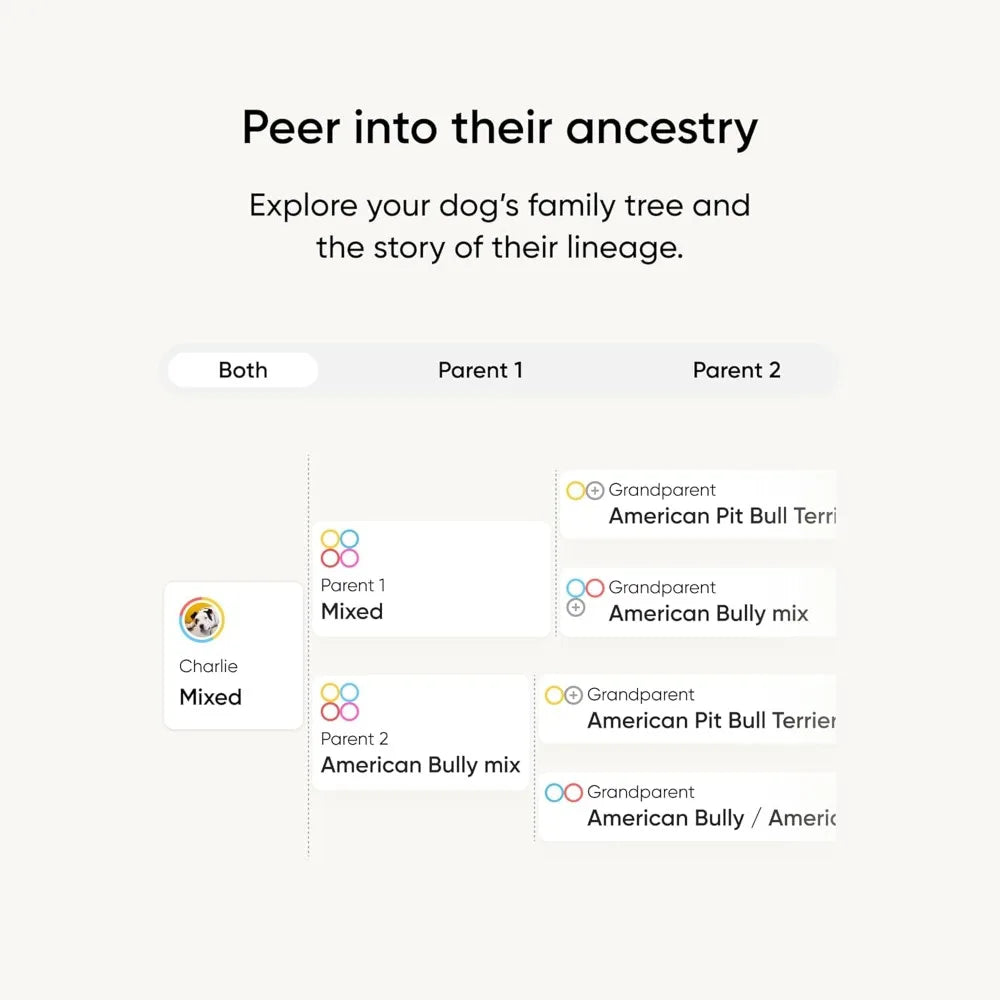 Dog DNA Test Kit