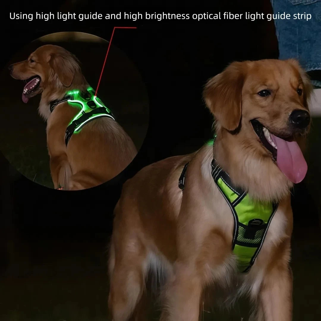 LED Glowing Luminous Dog Harnesses Essential for Dog Walking Safety At Night Dog Vest with Three LED Light Modes Rechargeable